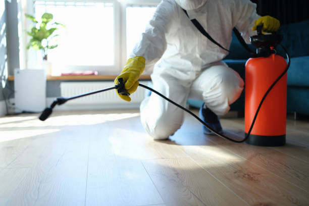 Trusted Trauma Scene Cleanup service in Hilo, HI - Four Month Blood Cleanse